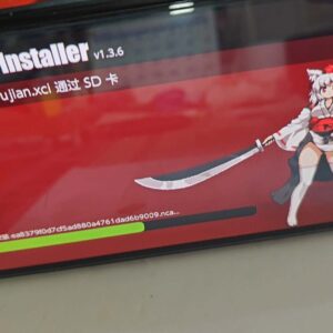 Switch主机专业维修升级